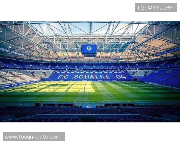 Ins直播：解锁体育赛事精彩瞬间与幕后故事